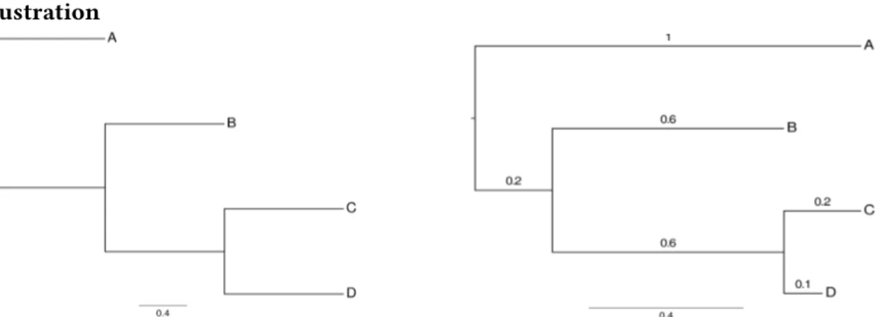 Fig. 1: Left: A tree without edge lengths. Right: A tree with edges drawn proportional to their lengths