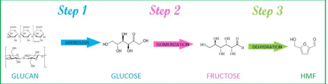 Figure 2. Schemes of the reaction steps from glucan to HMF. 