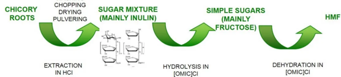 Figure 4. Scheme of the direct process from chicory roots to HMF [Error! Bookmark not defined.]