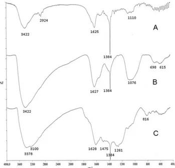 Fig. 3 FTIR spectra of A: puriﬁed Na-ESP from NaC medium, B: pu- pu-riﬁed Fe-ESP from FeC medium and C: precipitated Fe polysaccharide.