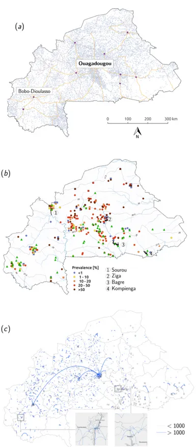 Fig 1. Model implementation for Burkina Faso. (a) Road network and settlement distribution