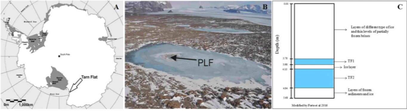 Figure 4.  Location of the study area. (A) Location of Tarn Flat area within Antarctic continent; (B) view of the 