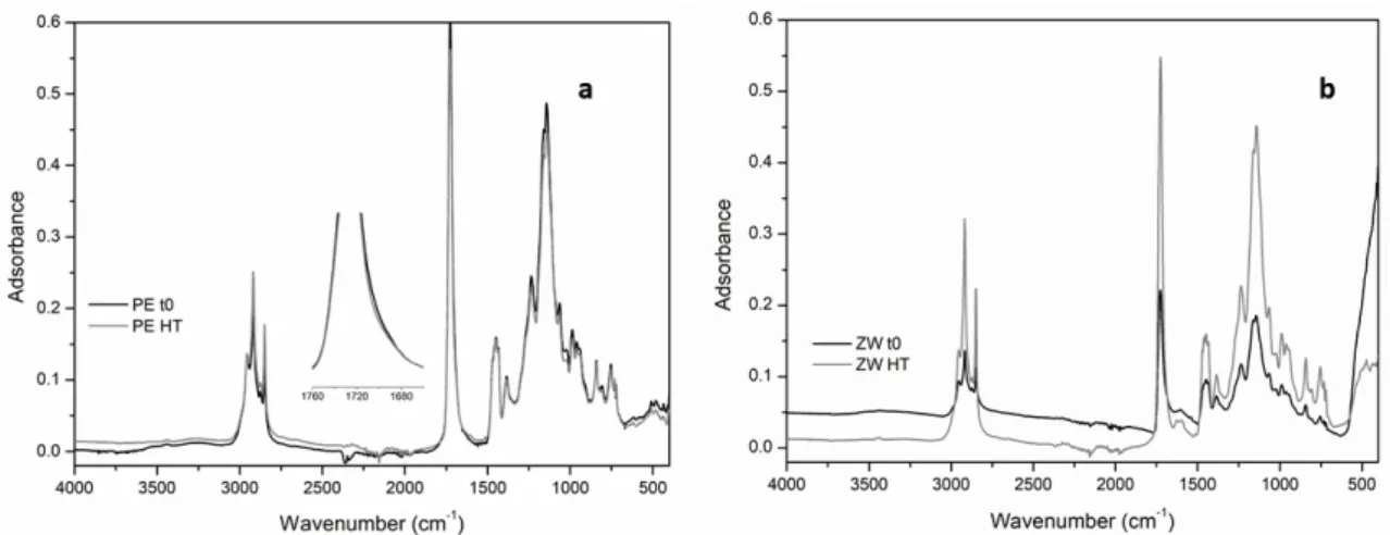 Figure 6. FT-IR-ATR spectra of: (a) Edelwachs and (b) zinc white mock-ups before ageing (t0) and  after high temperature ageing procedure (HT)