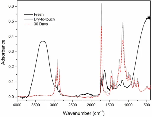 Figure 1. FT-IR-ATR spectra of fresh, dry-to-touch film and 30 days Edelwachs films. 