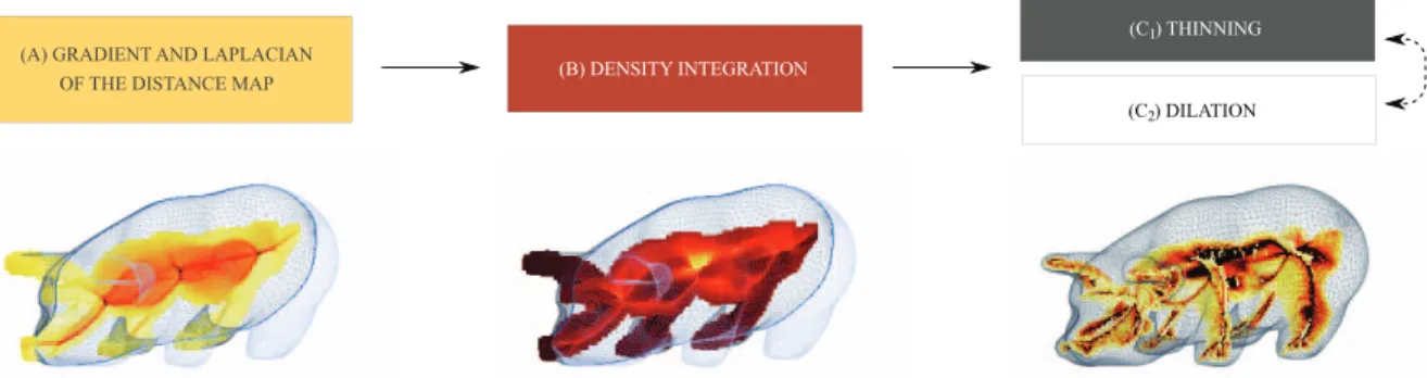 Figure 1. Steps to reﬁne the skeleton: a) computation of the gradient and Laplacian of the distance map; b) integration of the log-density in the voxels with a full neighborhood; c) alternating thinning and dilation step to detect skeletal voxels at the cu