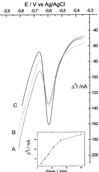 Fig. 2. Reduction scans recorded in MSW-DD at a NCE in 10 nM Eu 3 + , 0.1 M NaCl, pH 4.0, for different incorporation times: (A) 5