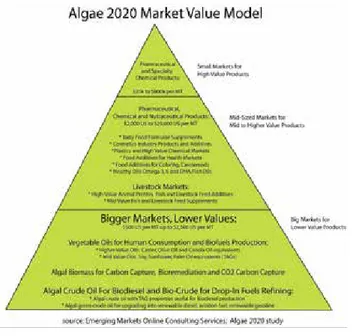 Figure 2. Algae 2020 Market Value Model.