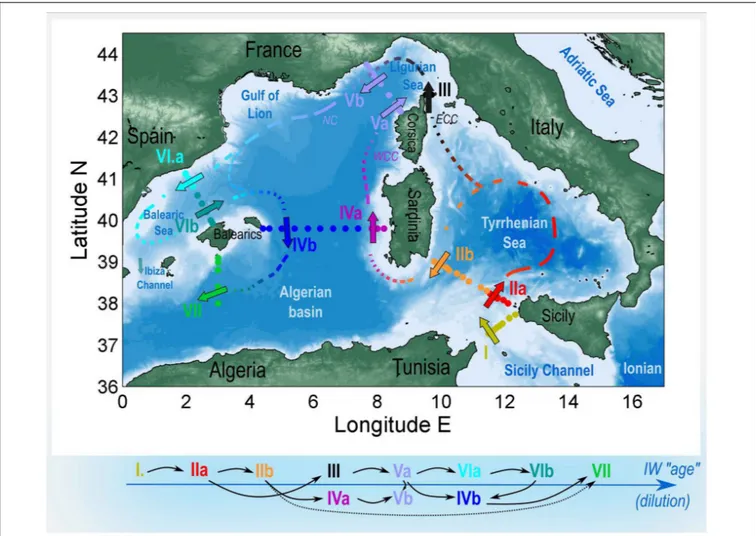 FIGURE 1 | Map of OC2015 cruise in August 2015, with a sketch of the IW path from the Sicily Channel to the interior of the western sub-basins