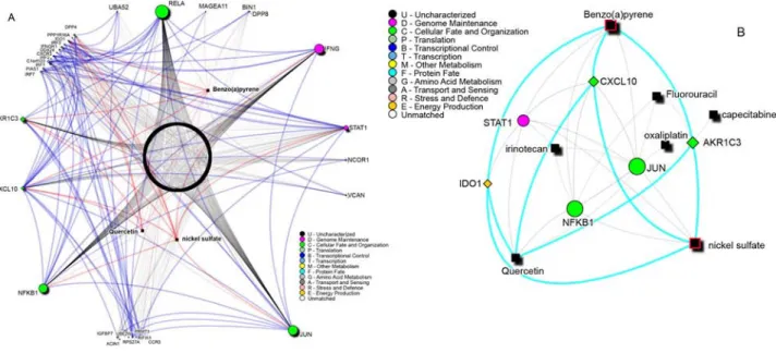 Figure 3: A. Known chemical compounds targeting the signature network reported in Figure 2