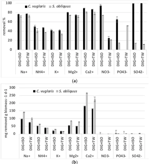 Figure 3. S. obliquus and C. vulgaris (a) nutrients removal percentage and (b) daily mg ions removal per g of biomass in OFMSW-WAS diluted 1:5 with ISO and in tap water conditions