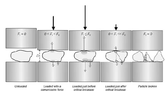 Figure 2.8: Schematic illustration of the different phases during a single particle  compressive strength test (Quist, 2012).