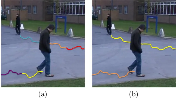 Figure 2.3 In (a) the tracklets extracted at the time instant t by using o↵- o↵-line tracking algorithms