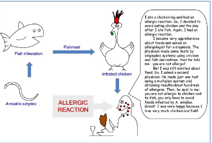 Fig. 3. Example of the possible hidden origin of an allergic reaction. 