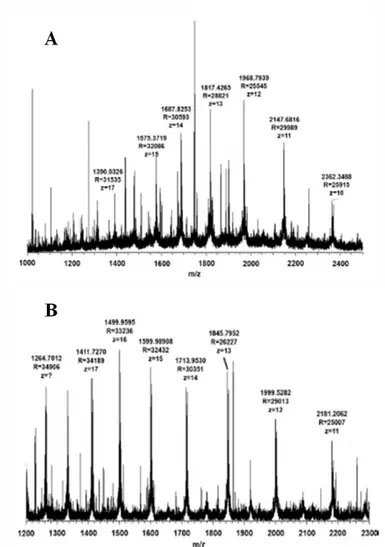 Figure 3.3. Mass spectra of α S -CN (A) and β-CN (B) obtained through direct infusion of a 