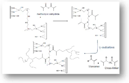 Figure 1.6. Reaction scheme of derivatization “Grafting-on-to”. 