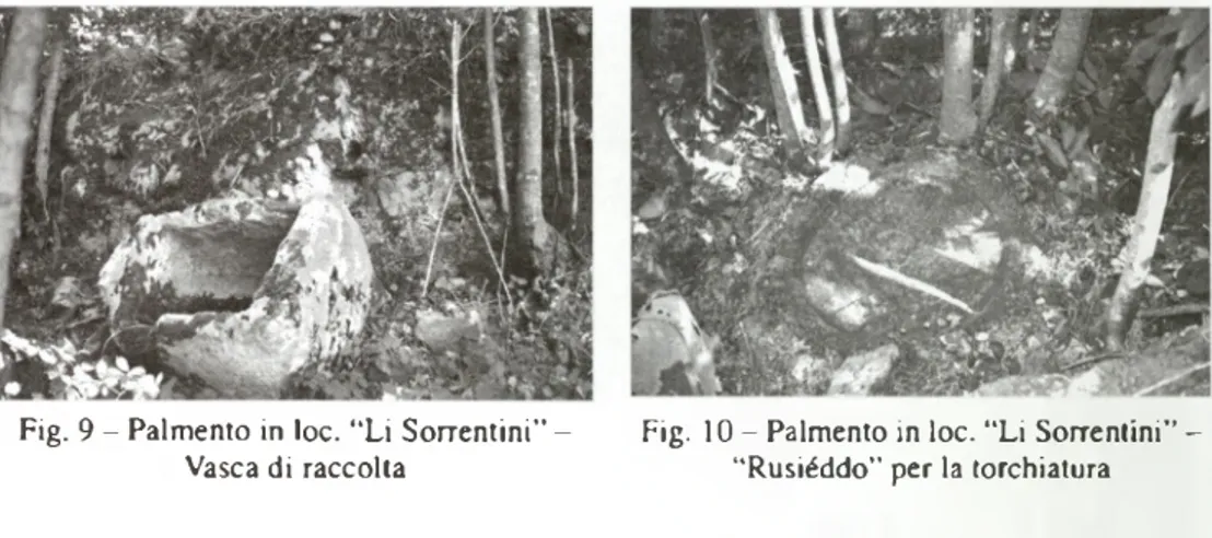 Fig.  9 -  Palmento  in loc.  “Li  Sorrentini” -   Fig.  10 -  Palmento in loc. “Li Sorrentini” -   Vasca di raccolta  “Rusiéddo” per la torchiatura