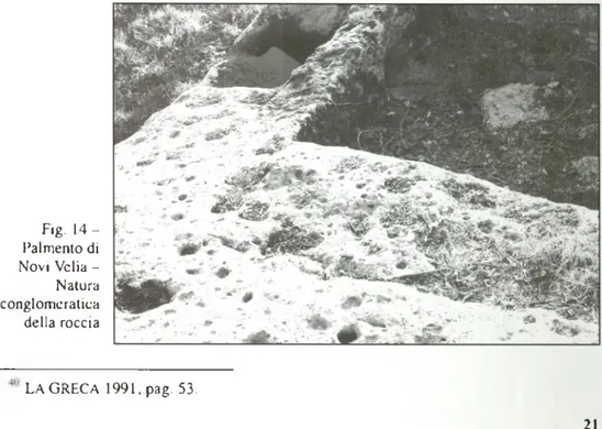 Fig.  1 4 -   Palmento di  Novi Velia -   Natura  conglomeratica  della roccia LA GRECA  1991, pag