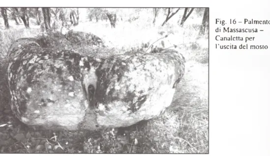 Fig.  1 6 -P alm ento  di  Massascusa -   Canaletta per  l ’uscita del  mosto