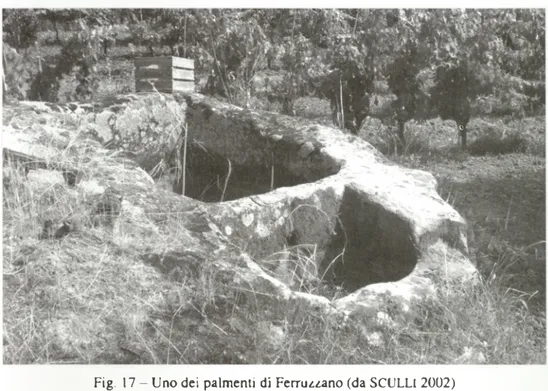 Fig.  17 -  Uno dei  palmenti di Ferruzzano (da SCULLI 2002)
