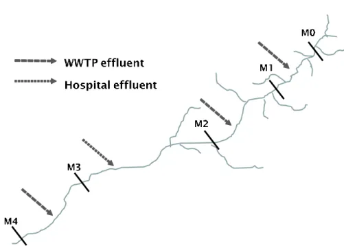 Figure 3-1 Schematization of Tusciano river with related discharge points 