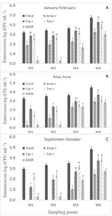 Figure  3-3  Prevalence  of  Enterococcus  resistant  and  multi-resistant  to  antibiotics in the Tusciano river 