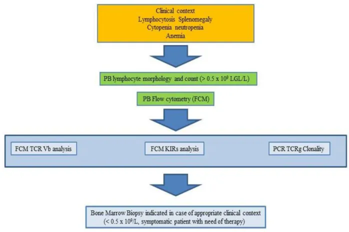 Figure 1. See text for more details. 