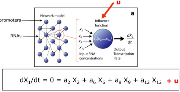 Figure 3.3: The NIR assumption - The rate of change in expression of the generic gene X 1 can be modeled as a linear combination of a subset of other genes plus an external