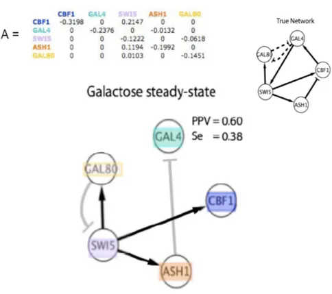 Figure 3.6: Inferring IRMA with NIR - Performances of the NIR algorithm when applied to the inference of IRMA