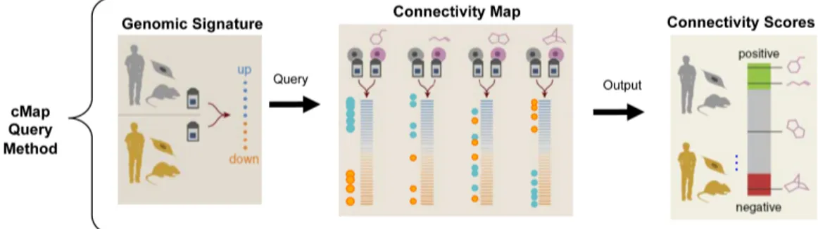 Figure 3.8: cMap query method - Overview of the cMap query system to link the GEPs to a well defined genomic signature.