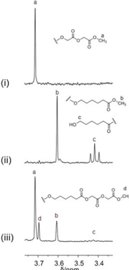 Figure 2.9. End groups analysis:  1 H NMR (300 MHz, DMSO-d6, 100 °C) spectra  of: (i) poly(glycolide); (ii) poly(ε-caprolactone); (iii) 