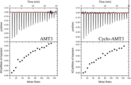 Figure 7 Titration of AMT3 and cyclo-AMT3 with POPC SUVs at 35°C and pH 6.  UP:  ITC  trace  (differential  heating  power  vs