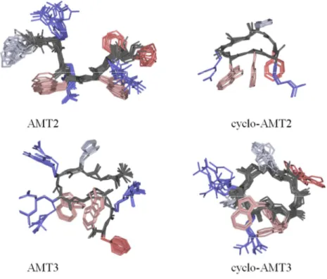 Figure 13 NMR structure bundles of AMT2, cyclo-AMT2, AMT3, cyclo-AMT3 