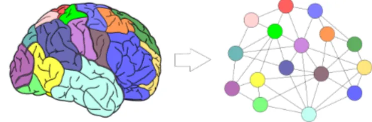 Figure 1.3: Network modelling applied to the investigation of brain connectivity: nodes represent brain regions and an edge between two regions indicates that there is a functional connection between the measured brain activity in the two regions.
