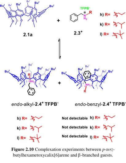 Figure 2.10 Complexation experiments between p-terz- p-terz-butylhexametoxycalix[6]arene and   -branched guests.