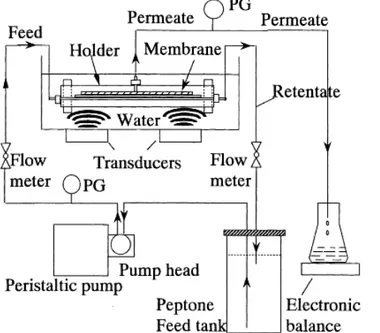 Figura  4.2  Schematizzazione  del  sistema  impiegato  con  bagno  ultrasonico  da  Kobayashi et al