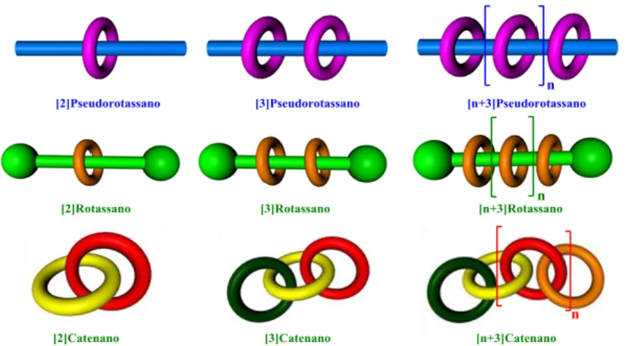 Figura 2. Nomenclatura di pseudorotassani, rotassani e catenani.