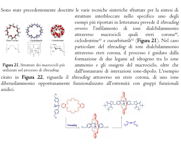 Figura 22. Sintesi di un [2]rotassano mediante  threading    di uno ione dibenzilammonio attraverso il dibenzo-24-crown-8