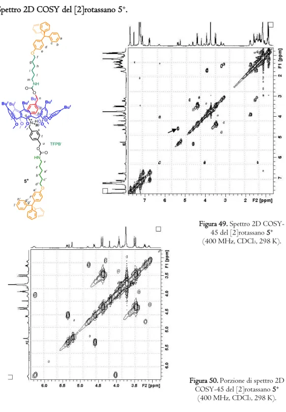 Figura 49. Spettro 2D COSY- COSY-45 del [2]rotassano 5 +