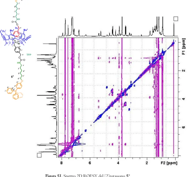 Figura 51. Spettro 2D ROESY del [2]rotassano 5 +   