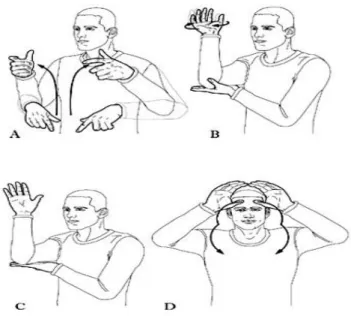 Figura 3: Un significato analogo, ALBERO, viene espresso in modo diverso in varie lingue dei segni: A 