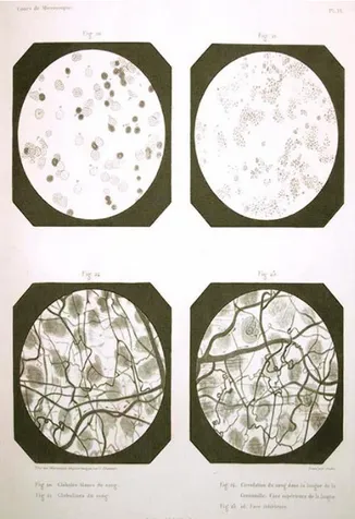 Fig.  1  A.  Donné,  Cours  de  microscopie  complémentaire  des  études  médicales;  anatomie 