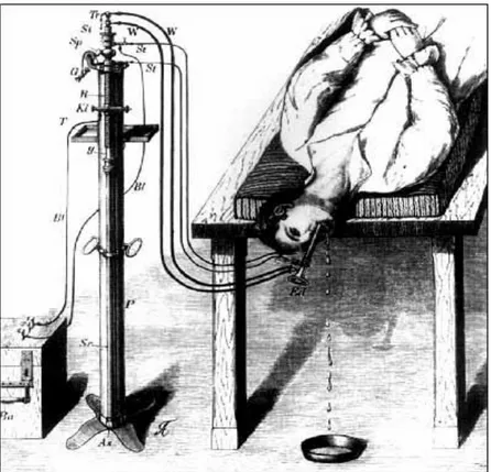 Fig. 22 Gastroscopio di Mikulicz-Radecki.  Mikulicz-Radecki, J., “Über Gastroskopie und  Oesophagoskopie”, Wiener medizinische Presse, Wien, Urban &amp; Schwarzenberg, 1881, n