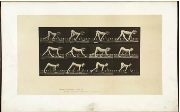 Fig. 36 Infantile paralysis; child, walking on hands and feet,  E. Muybridge, Animal Loco-