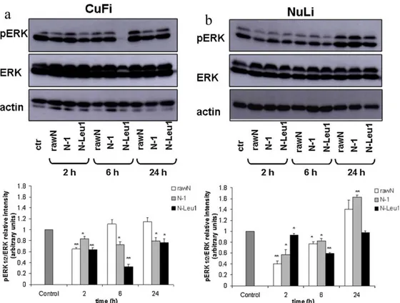 Fig.  24.  Naringin  and  its  DPI  formulations  reduce  ERK1/2  phosphorylation  in  CF  airway 
