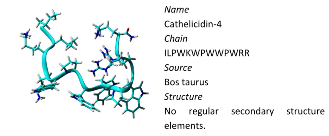Figure 1.3. 3D model structures representing to the structure of Indolicidin derivative,  PDB ID: 1QXQ  