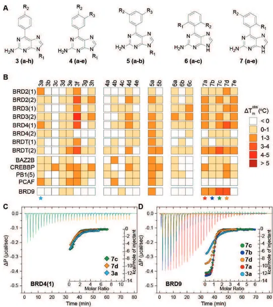 Figure 2.7 Decoration patterns explored in the first group of purine compounds and 