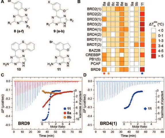 Figure 2.8 BRD pocket SAR. (A) Compounds designed to probe the acetyl-lysine mimetic 