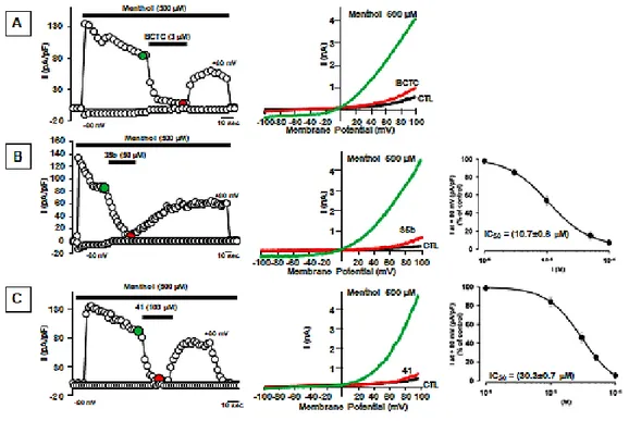 Figure 15. BCTC, derivatives 35b and 41 block TRPM8-mediated responses evoked  by  menthol  in  TRPM8  expressing  HEK293  cells  (A,  C)