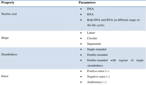 Table 1.1:  Genomic diversity among viruses. 
