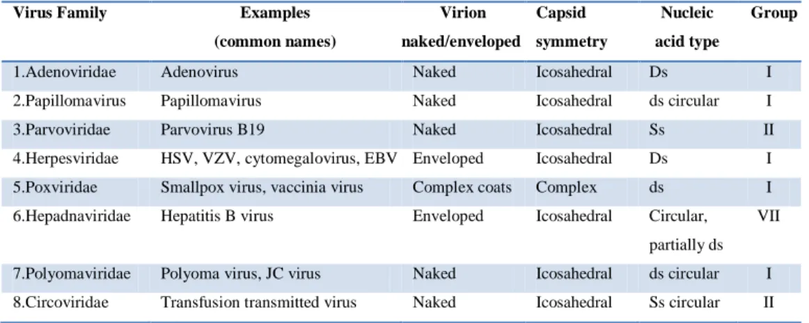 Table 1.2:  DNA viruses. 